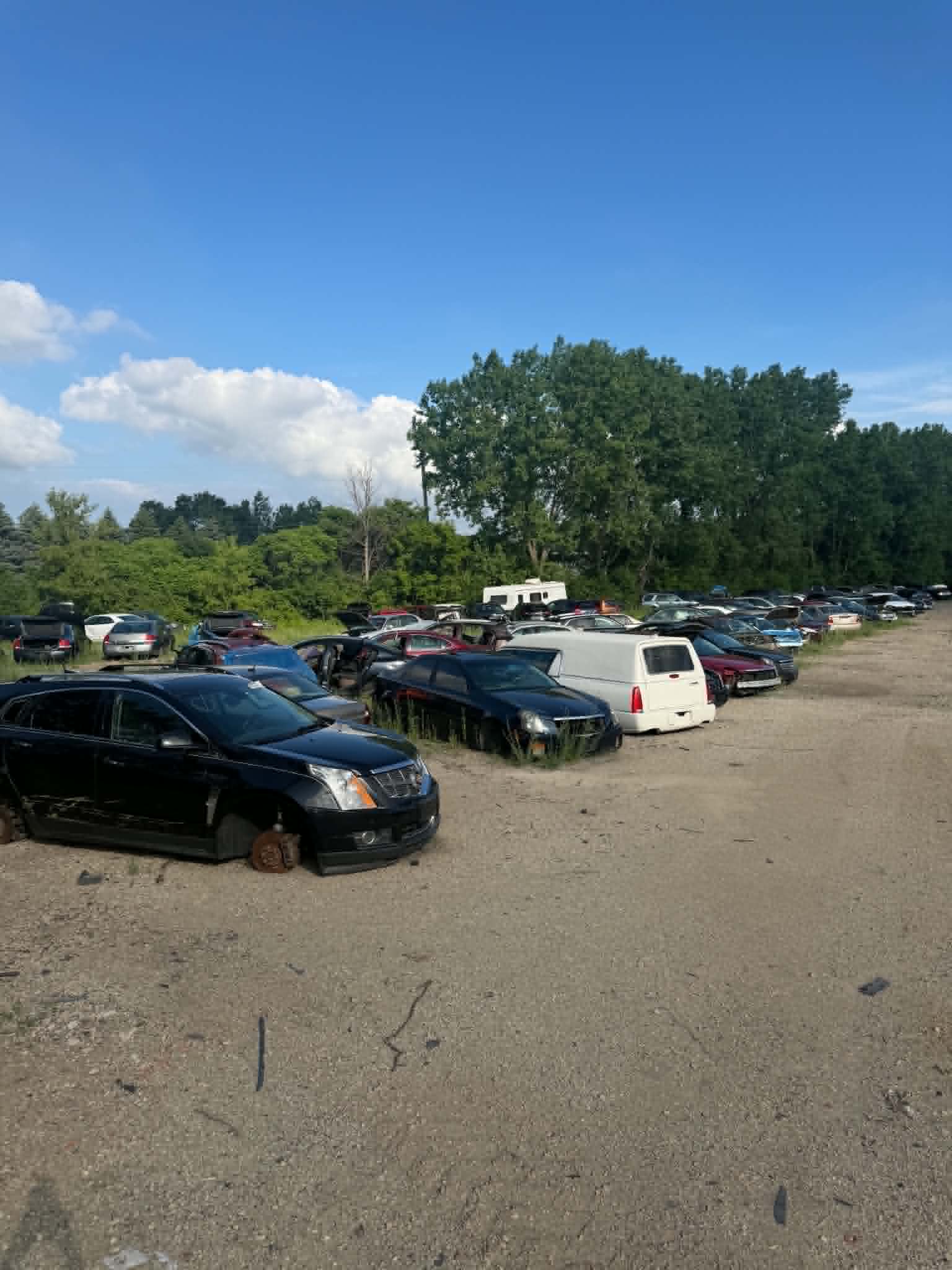 Appleton Auto Recyclers salvage yard with rows of vehicles