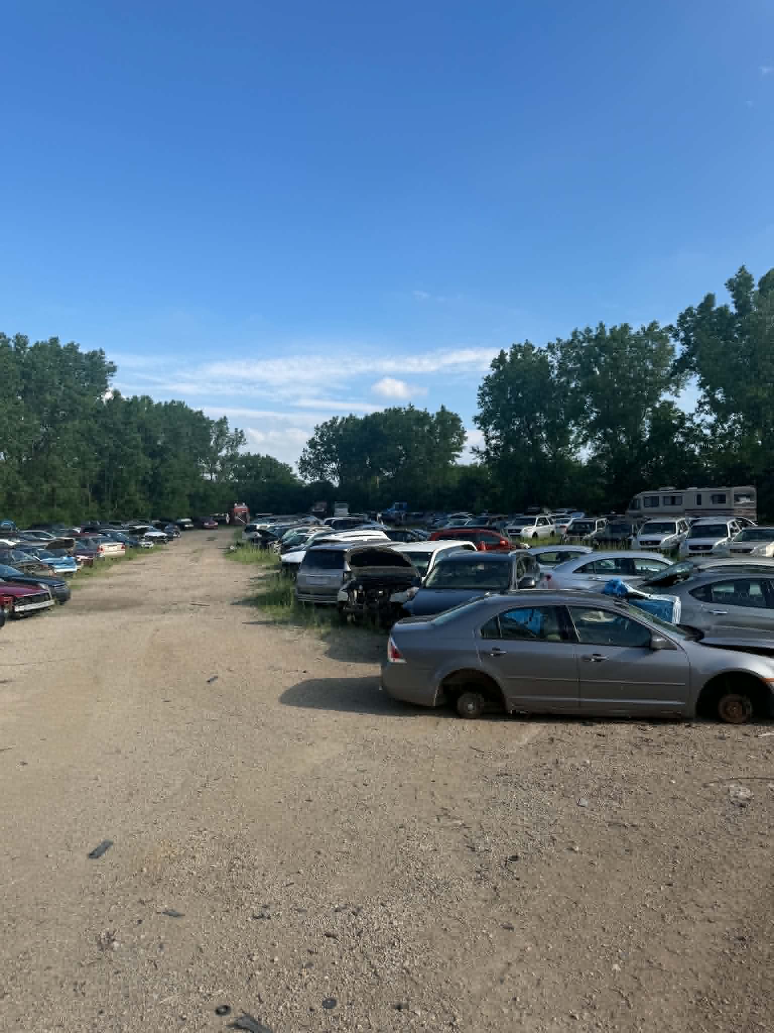 Rows of salvage vehicles at Appleton Auto Recyclers