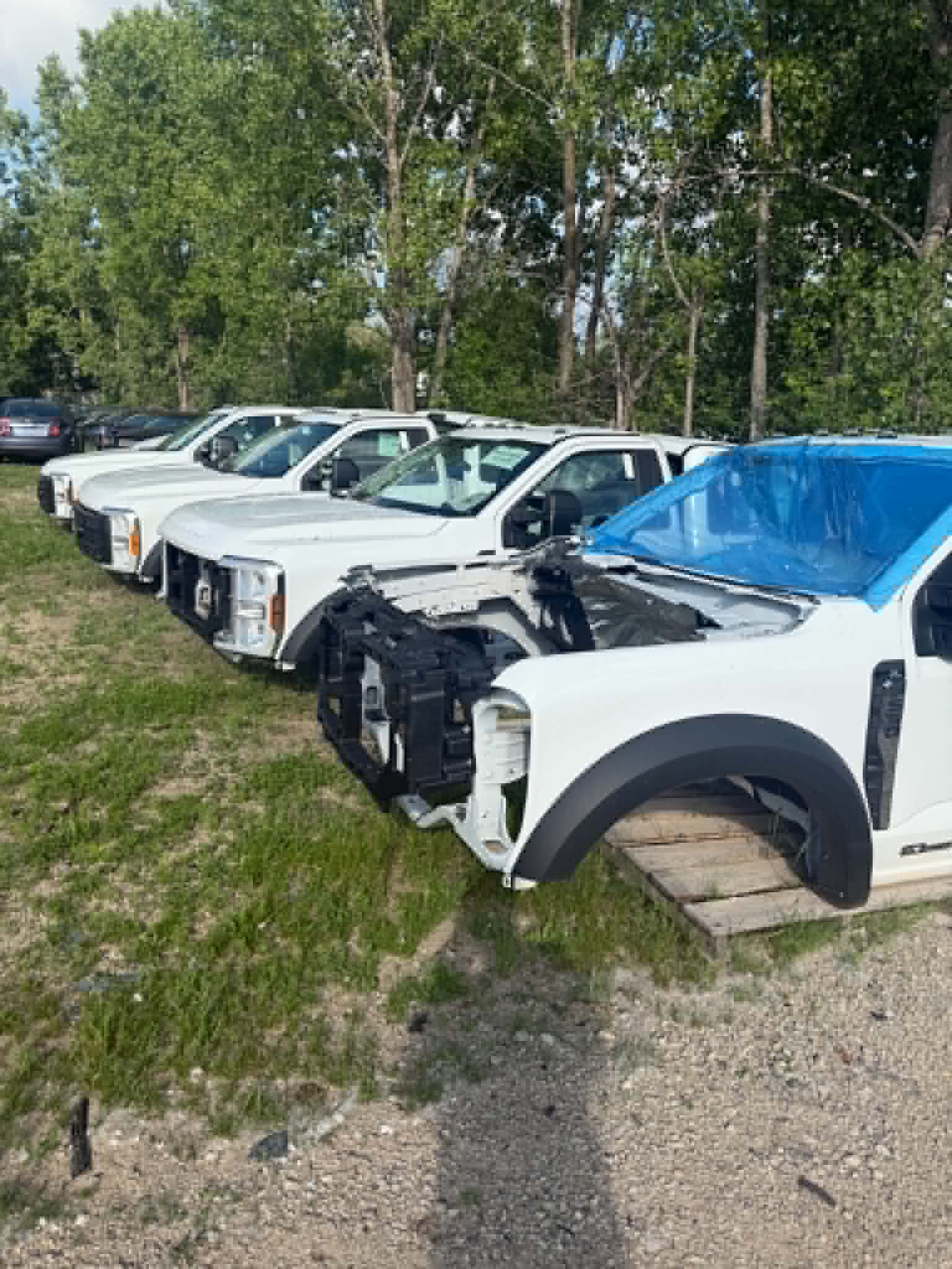 Vehicles stored for parts at Appleton Auto Recyclers